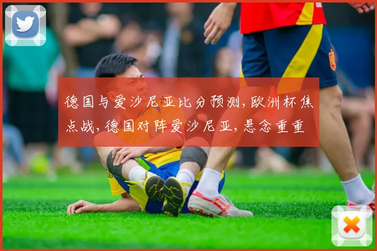 德国与爱沙尼亚比分预测,欧洲杯焦点战,德国对阵爱沙尼亚,悬念重重,谁将夺冠